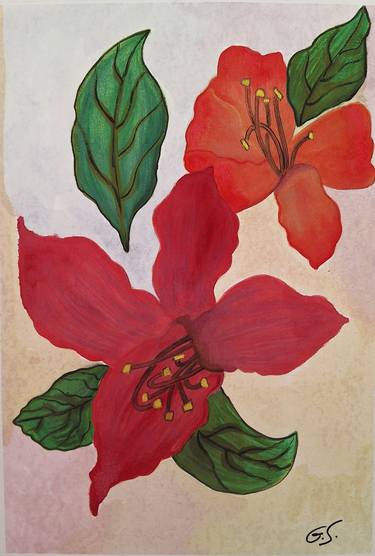 Original Floral Paintings by Susana Giordano