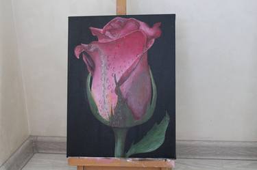 Original Classicism Botanic Paintings by Anastasiya Khmelnitskaya