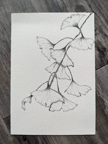 Original Floral Drawings by Sze Daphne