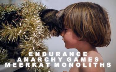 endurance anarchy games meerkat monoliths thumb