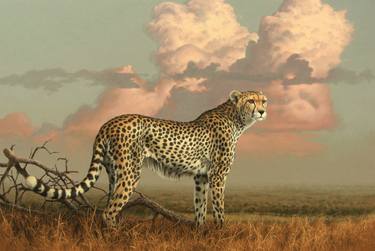 "Savannah Sky" Cheetah thumb