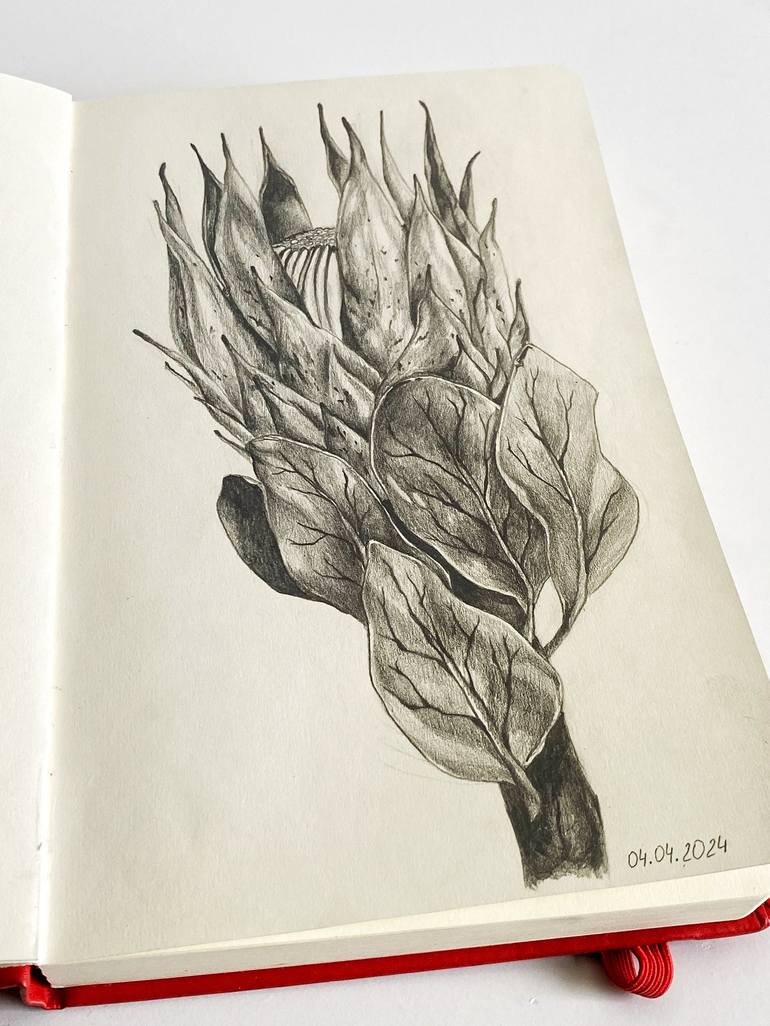 Original Realism Floral Drawing by Anastasia Dieieva