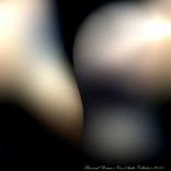 Man & Woman by Steven W Hook