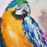 Colorful bird - 03