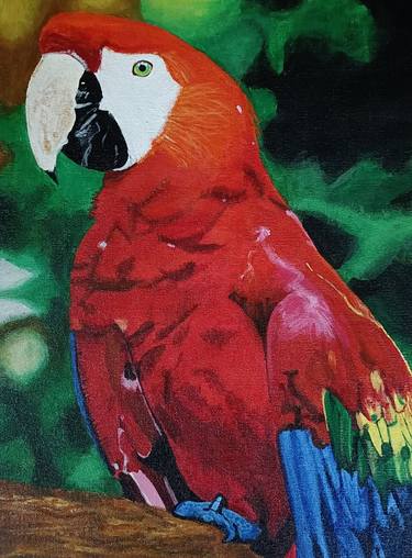 Elegant Macaw painting thumb