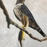 Successful Hunt by Santiago II Aguirre