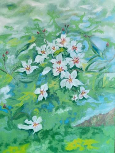 Original Botanic Paintings by Tania Gilmor