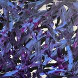 Woven by Darren Jones