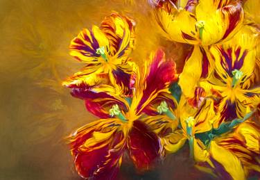 Original Abstract Botanic Photography by Lianne Manley