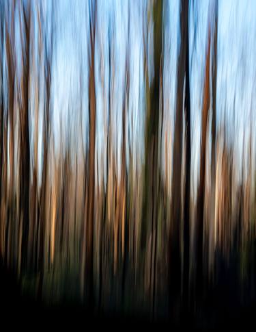 Original Abstract Photography by Lianne Manley