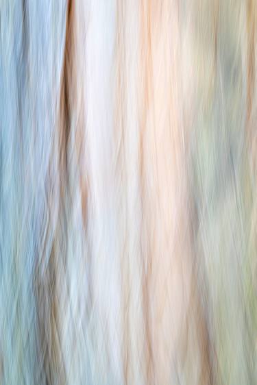 Original Abstract Photography by Lianne Manley