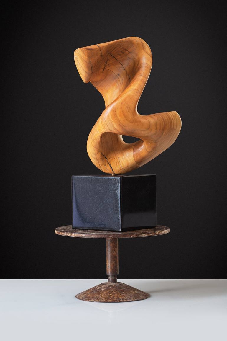 Original Contemporary Abstract Sculpture by Predrag Lozaic