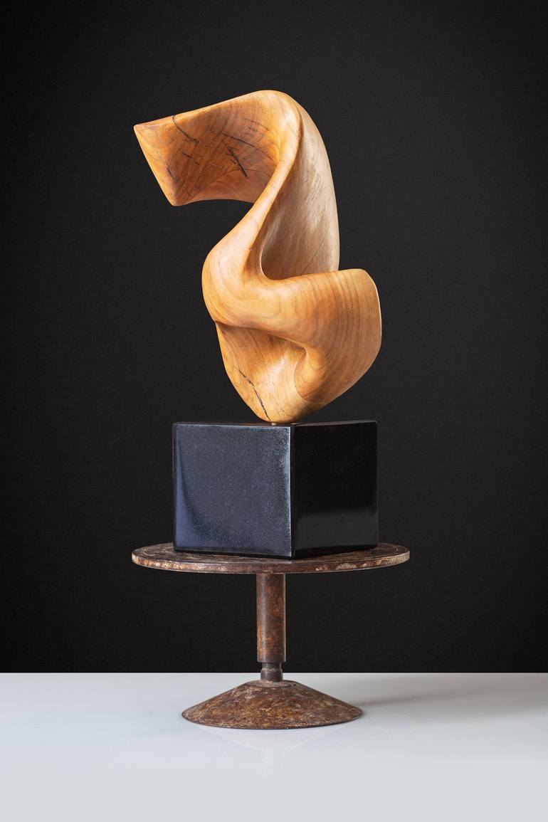 Original Contemporary Abstract Sculpture by Predrag Lozaic