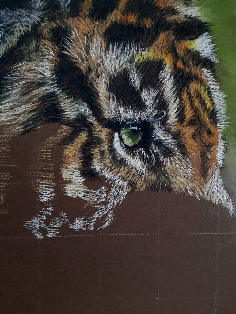 Original Realism Animal Drawing by Nicoletta Angioni Maniatis