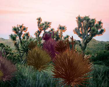 Original Contemporary Landscape Photography by Megan Farrell