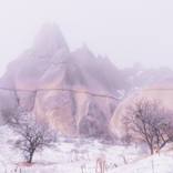 Pink Mist by Syed Husain