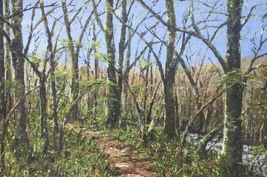 Original Landscape Paintings by Lucy Smerdon