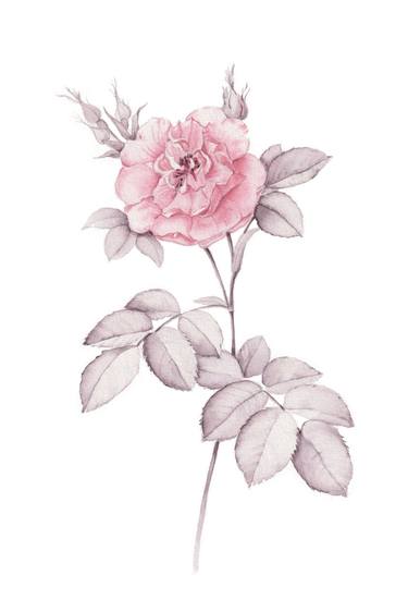 Original Illustration Floral Paintings by Miglena Radkova - Kancheva
