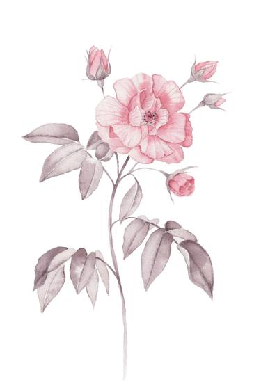 Print of Minimalism Floral Paintings by Miglena Radkova - Kancheva