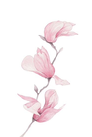 Original Illustration Floral Paintings by Miglena Radkova - Kancheva