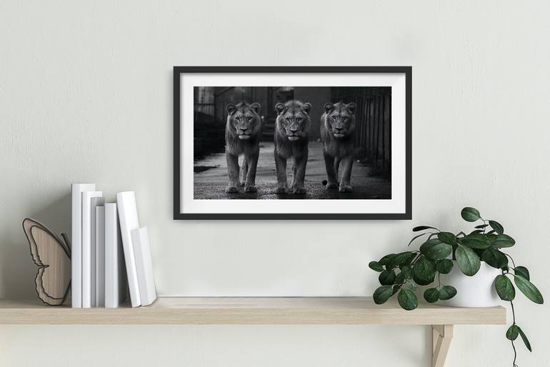 Original Black & White Animal Photography by Mathieu Cabot