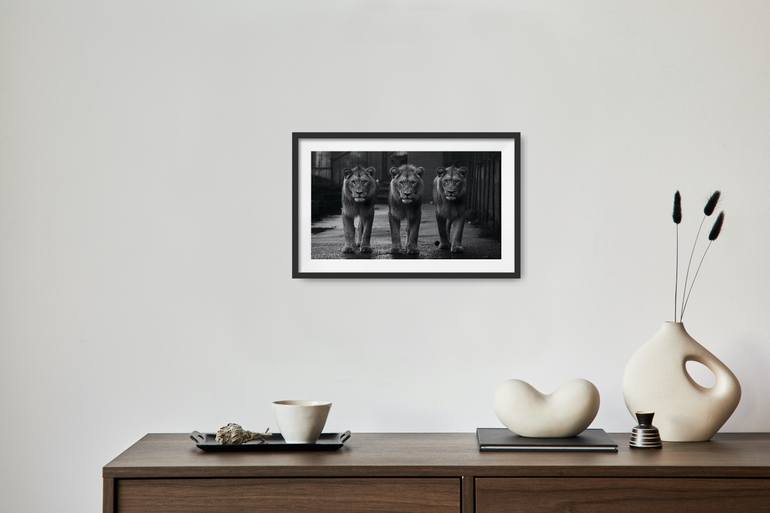 Original Black & White Animal Photography by Mathieu Cabot