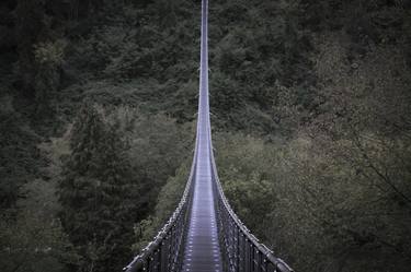 Forest Bridge thumb