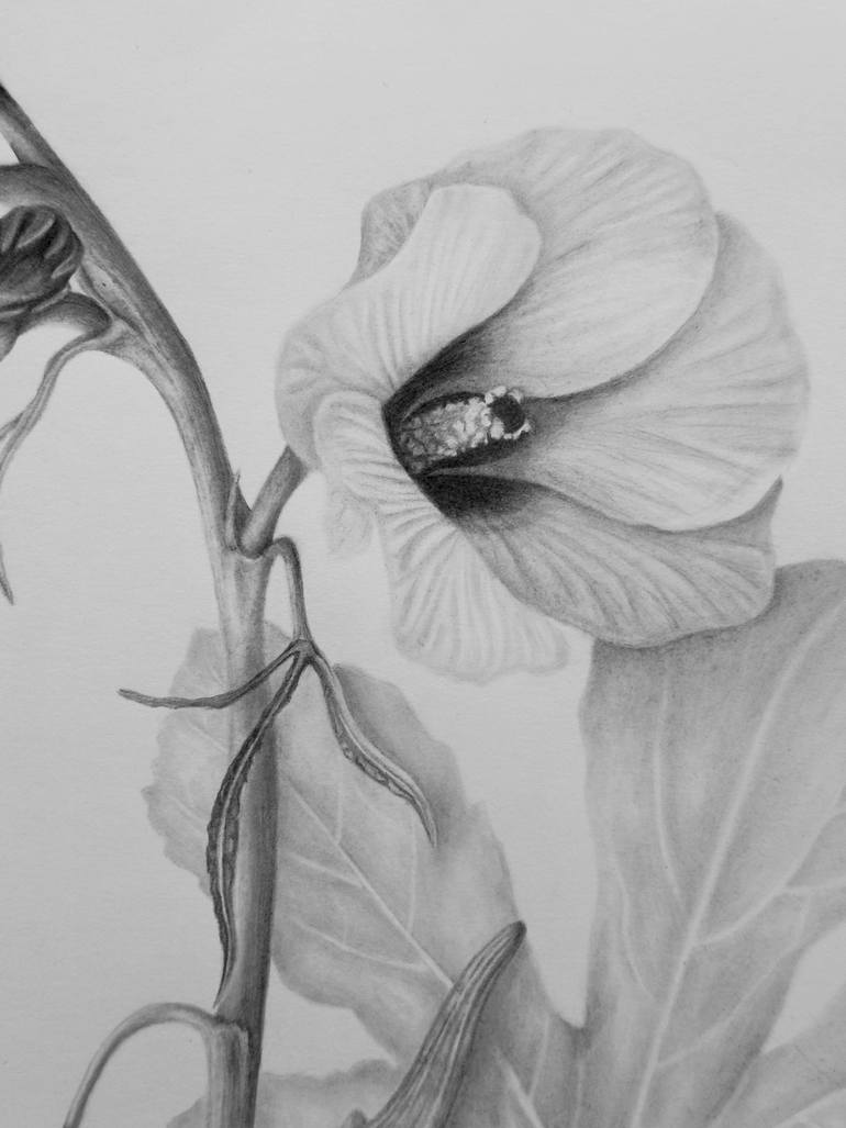 Original Realism Botanic Drawing by Tetyana Hubska