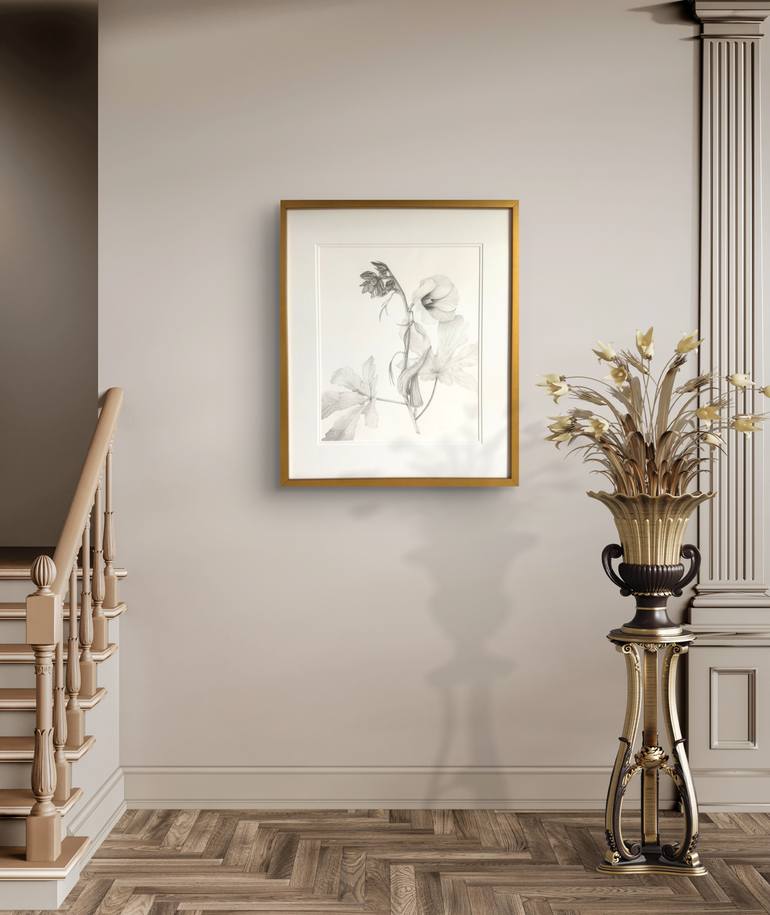 Original Realism Botanic Drawing by Tetyana Hubska