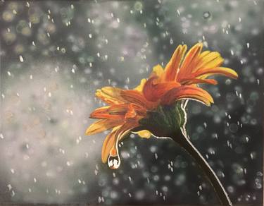 Original Realism Floral Paintings by Cintia Tempone