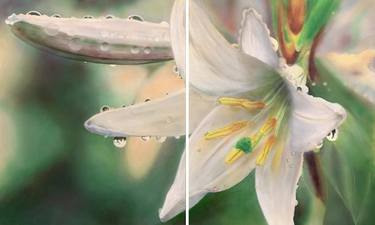 Original Floral Paintings by Cintia Tempone