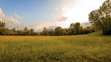 Original Surrealism Nature Photography by Francesco Scaffardi