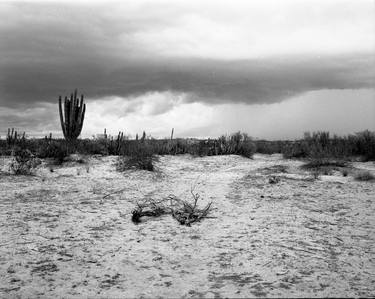 Original Black & White Landscape Photography by Gregory Allen