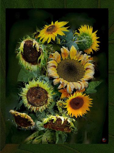 Print of Realism Floral Photography by lyskegle KARBLIX