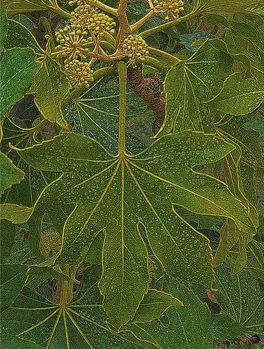 Print of Figurative Botanic Photography by lyskegle KARBLIX