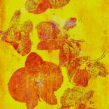 Red Orchids by Marina Veen