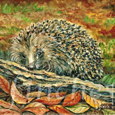 Original Contemporary Animal Painting by Sonia Finch