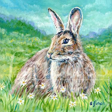 Original Expressionism Animal Painting by Sonia Finch