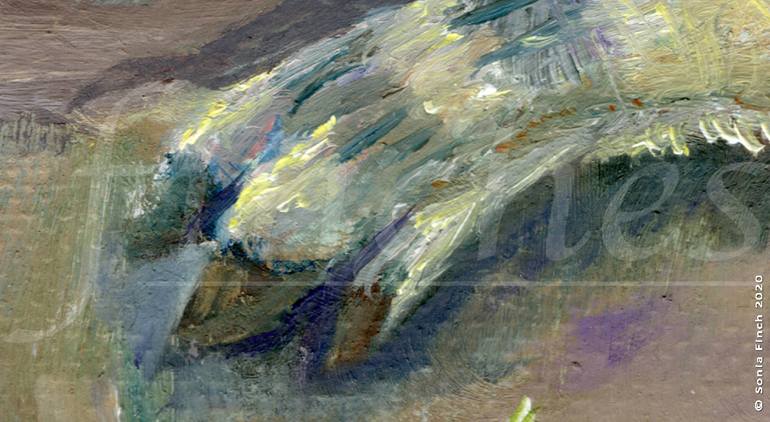 Original Contemporary Animal Painting by Sonia Finch