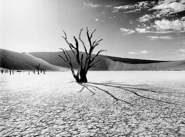 Original Black & White Landscape Photography by BO Hylén