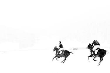 Original Horse Photography by ALEXANDRE -
