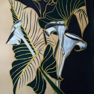 Collection Back to Nature