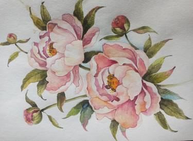 Original Illustration Floral Paintings by Svetlana Sokolova