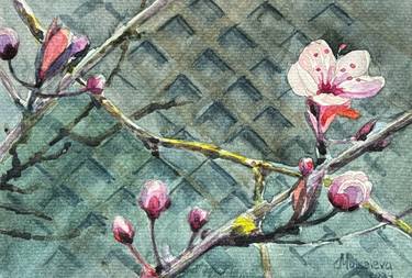 Plum Blossom thumb