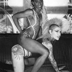 Cheetahs