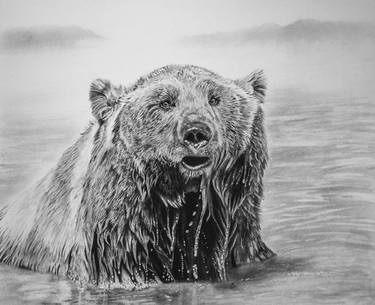 Original Realism Animal Drawings by Sarah Locke