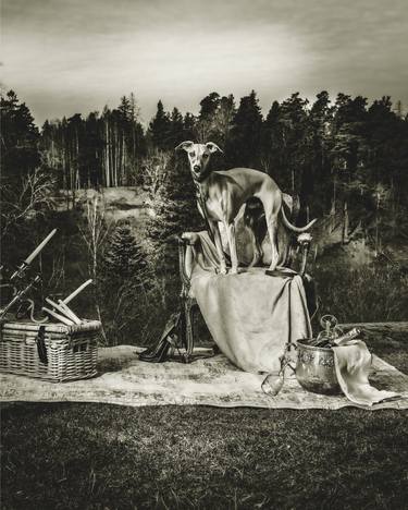 Original Conceptual Dogs Photography by Nick Svartengren
