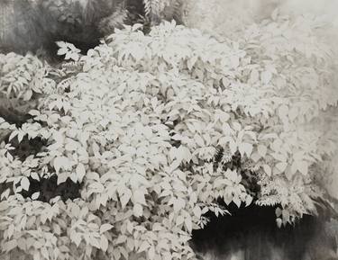 Print of Realism Nature Paintings by Hee Ra Kim