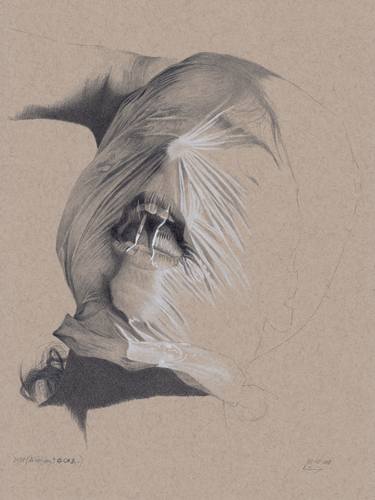 Original Figurative Portrait Drawings by Walter Roos