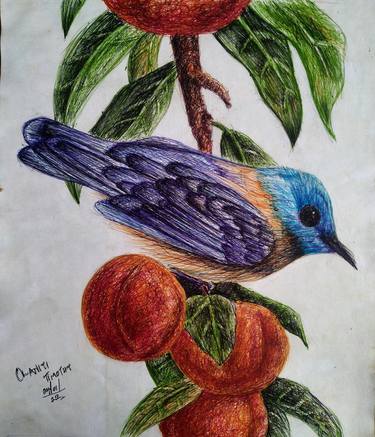 Original Nature Drawings by Timothy Olaniyi
